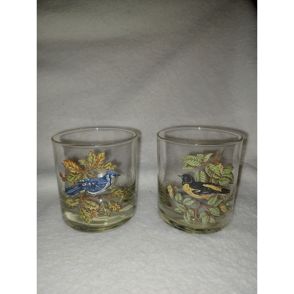 Set Of 2 Vintage Glass American Song Bird Cocktail Juice Water‎ Glasses